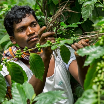 araku-coffee-1.jpg