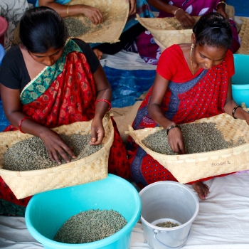 araku-coffee-2.jpg